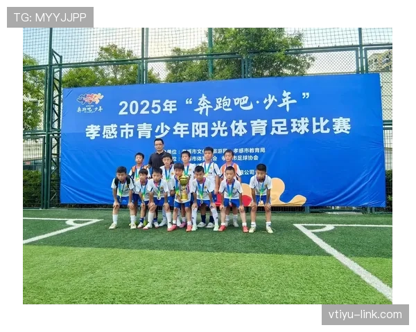 点球开踢时其他队员提前进入禁区,裁判该如何判罚? 点球开踢时其他队员提前进入禁区,裁判该如何判罚?